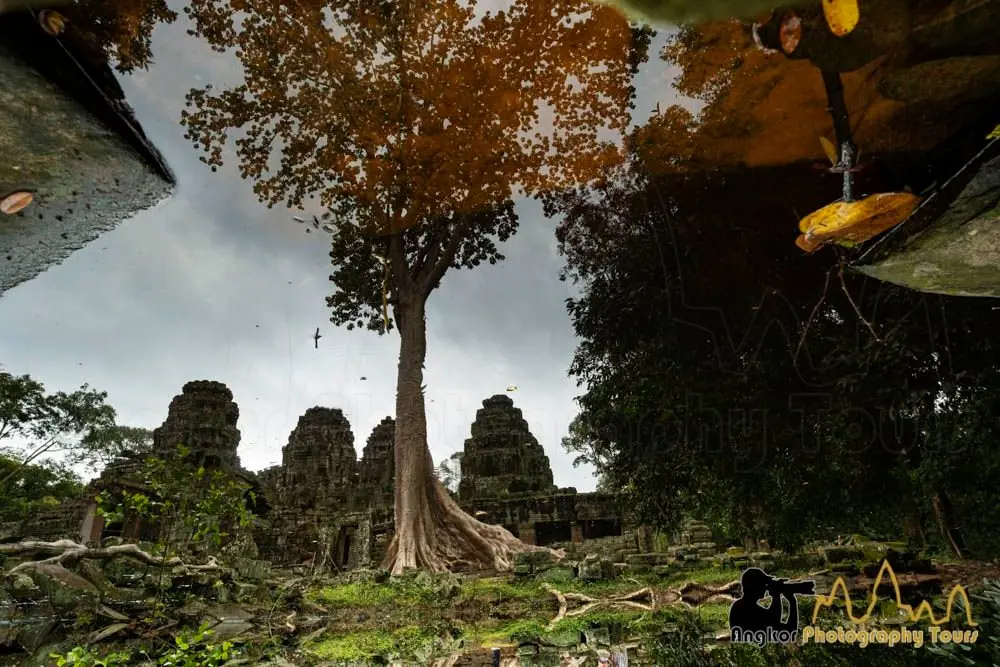 Angkor Temple 6